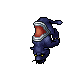 Midnight Panther