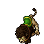 Noble Lion